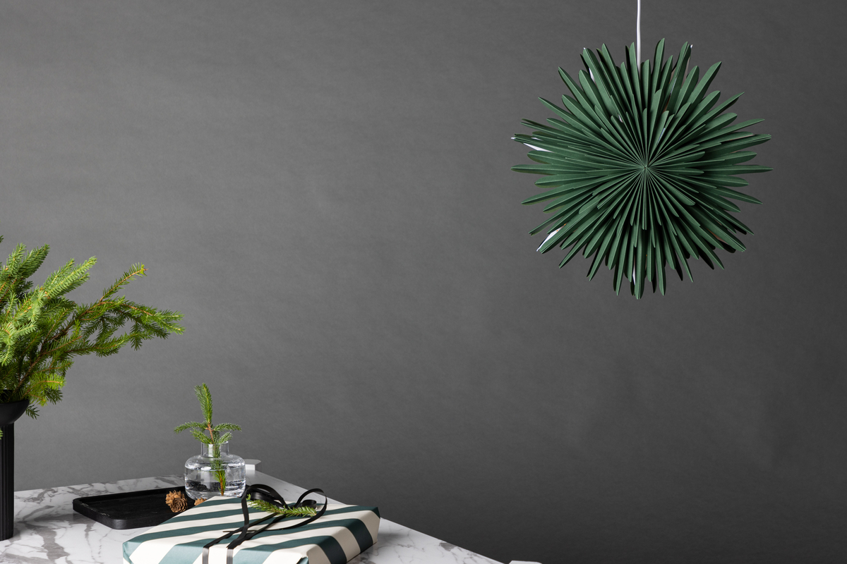 Stella dell'Avvento 'Svedala' 46cm - Verde