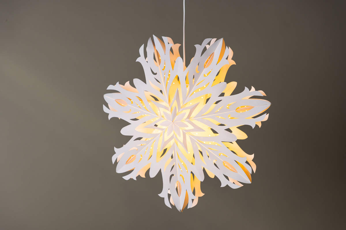 Stella dell'Avvento 'Kungälv' - Bianco