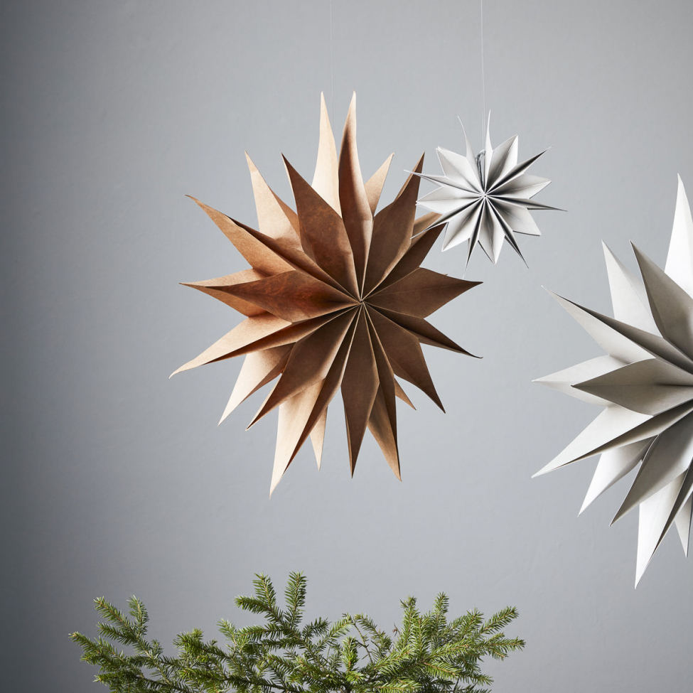 Stella di Natale 'Capella' L - Naturale