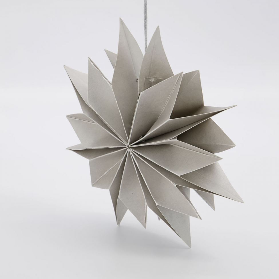 Stella di Natale 'Capella' - Perla