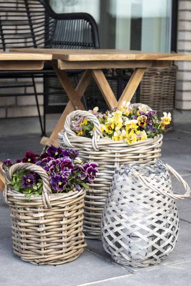 Ceste 'Caor' 4-pack - Naturale