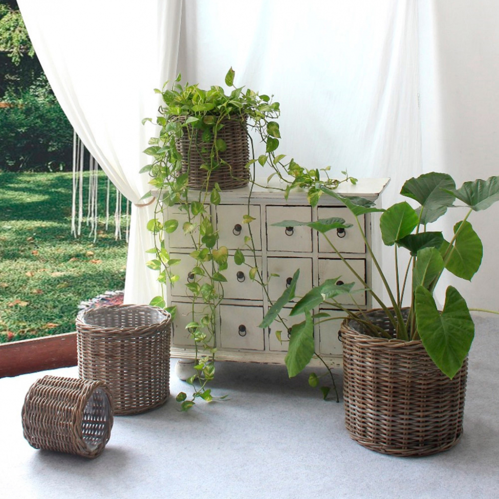 Ceste 'Bogor' 4-pack - Naturale