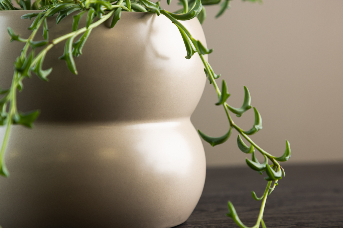 Vaso 'Bourges' - Beige