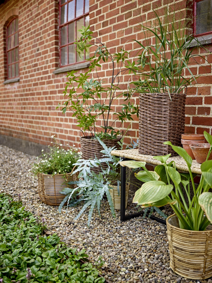 Panca da giardino 'Adilly' – Naturale/Rattan