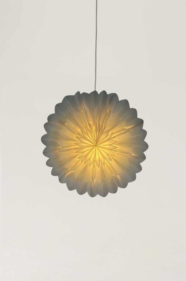 Stella dell'Avvento 'Lotus' 60cm - Bianca