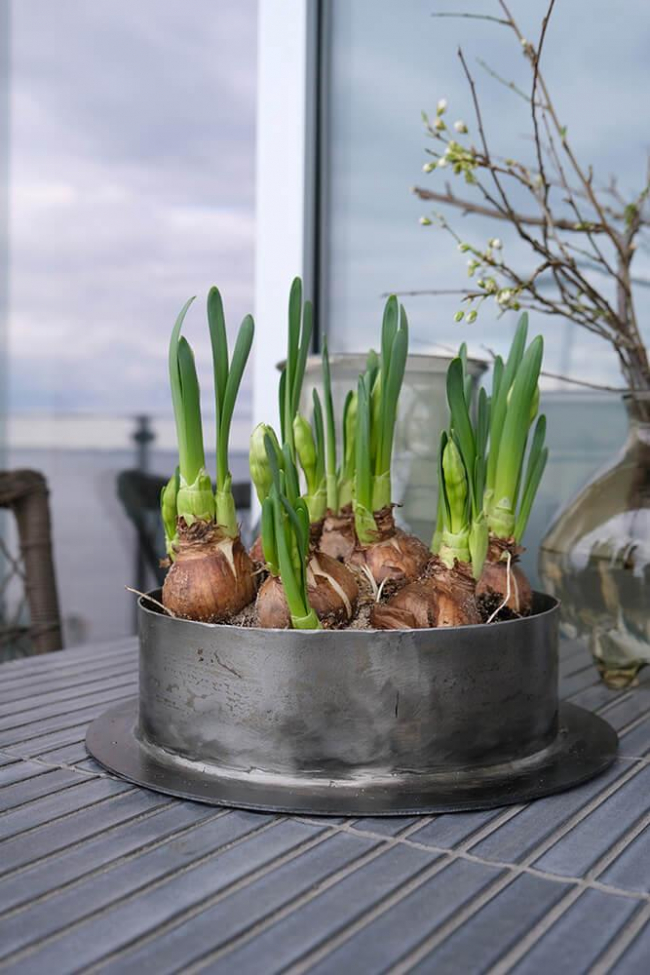 Vaso 'Fred' L - Ferro