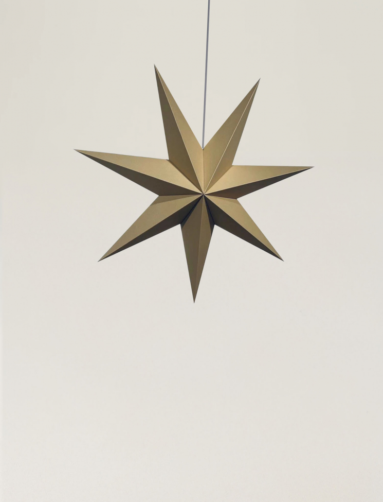 Stella dell'Avvento 'Sally' 60cm - Marrone